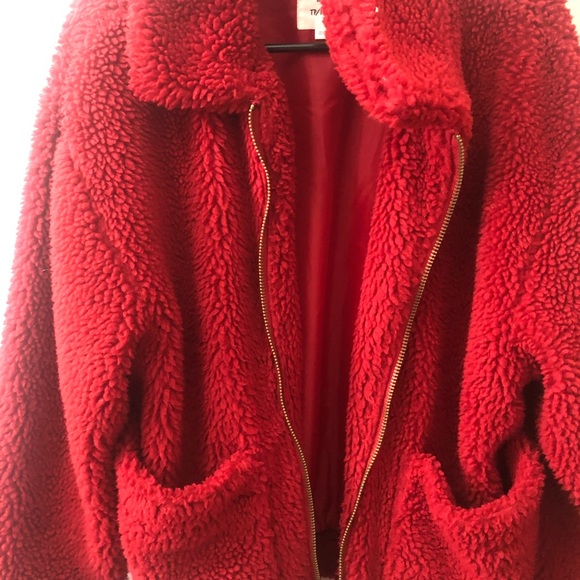 Teddy bear jacket - Picture 3 of 3